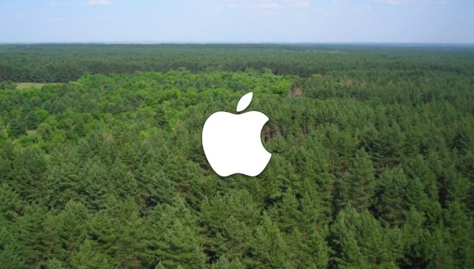Apple og Verdensnaturfonden i kamp om bæredygtige skove