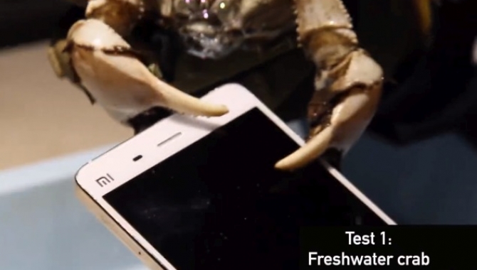 Xiaomi bruger tre krebsdyr til anderledes holdbarhedstest (video)