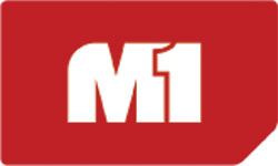 M1 blev årets Gazelle 2008
