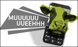 Er det en ko eller mobilen – få dyr som ringetoner