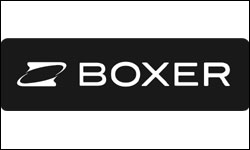 Boxer: Usikkerhed om forretningsmodellen for mobil-tv
