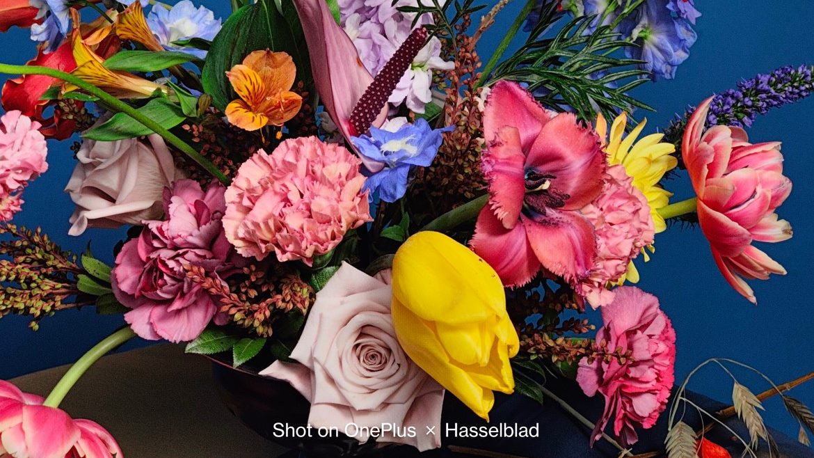 Kan Hasselblad gøre OnePlus 10 Pro til verdens bedste kameramobil?
