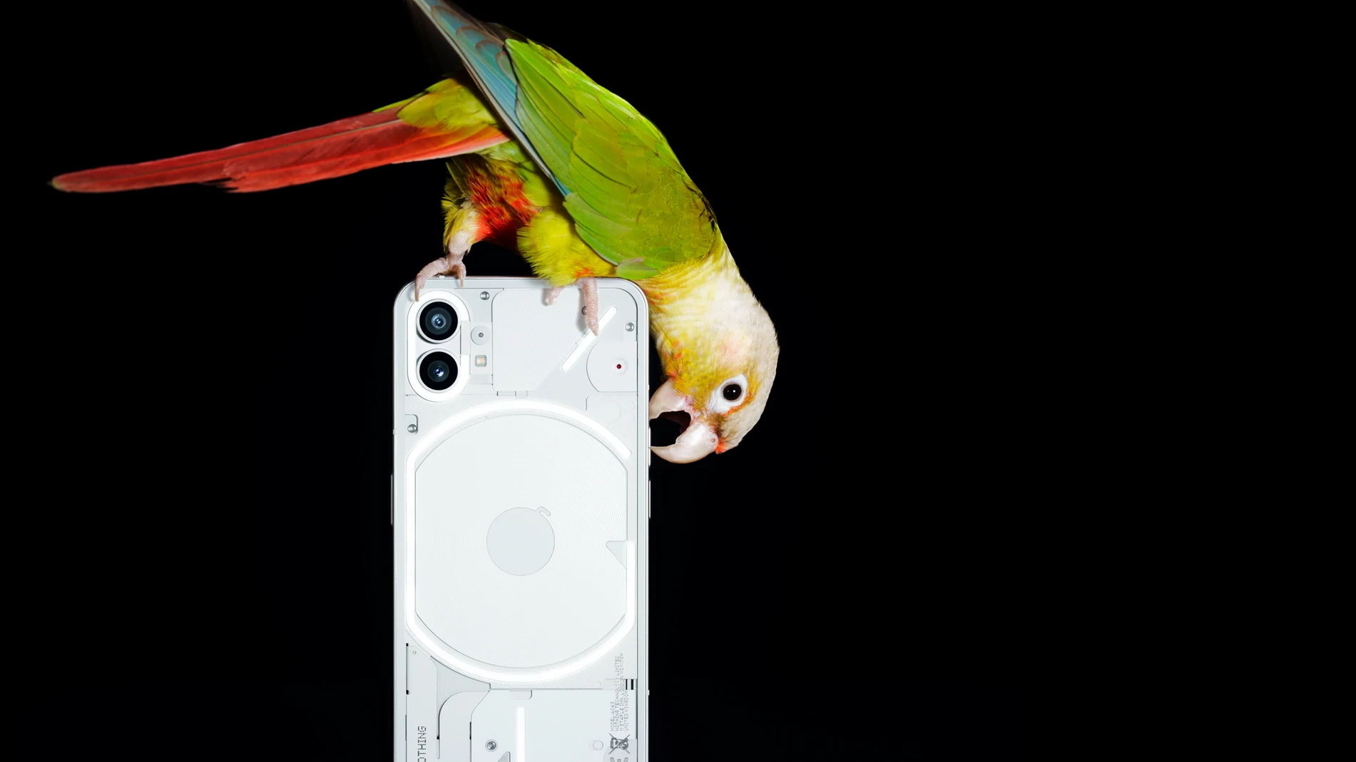 nothing phone 1