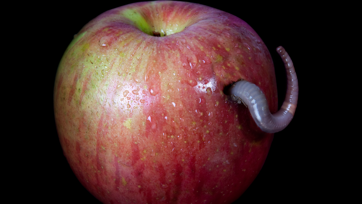 Der er noget galt hos Apple