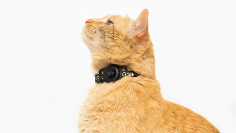 Tile lancerer Bluetooth-halsbånd til at tracke katten