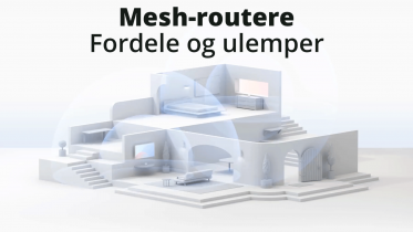 Guide: Har du brug for et mesh netværk?