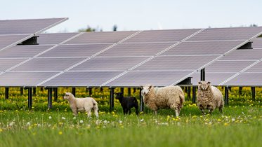 Solenergi overhaler kul for første gang i EU