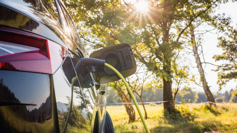 Guide: Sådan laver du en test af batteritilstanden i din Tesla