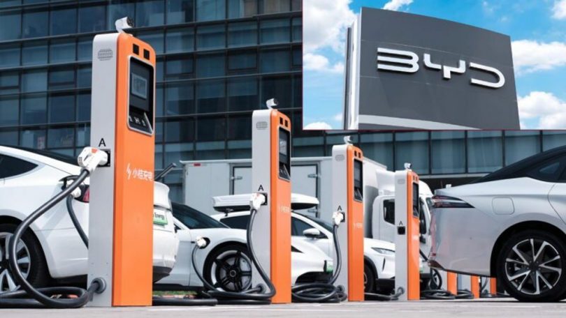 BYD vil bygge 1.000 MW ladenetværk i Europa