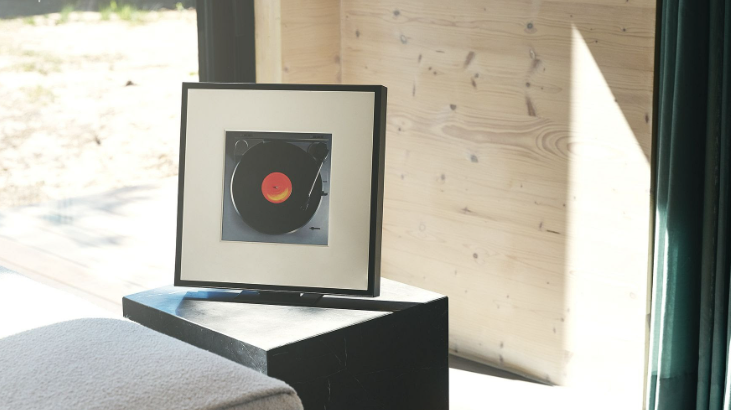 Danskerne vil ikke have blærerøvselektronik i hjemmet