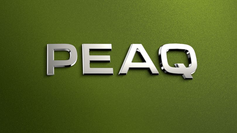 Skoda på vej med ny elbil: PEAQ