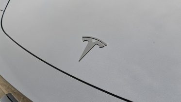 De mest loyale Tesla-tilhængere råber nu vagt i gevær